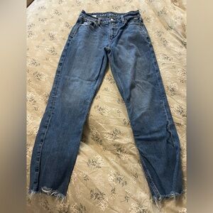 American Eagle Strigid Mom Jeans